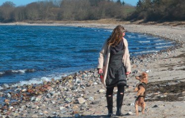 Tierkommunikation mit Hund