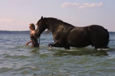Tierkommunikation mit Pferd